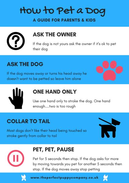 Cockapoo Biting 的图像结果