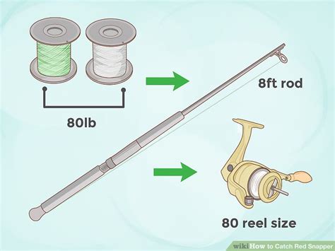 Image result for How to Catch Red Snapper