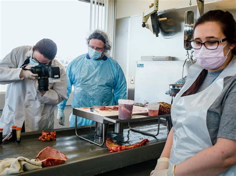 Forensic Medical Examiner Salary California - 2026 Company Salaries