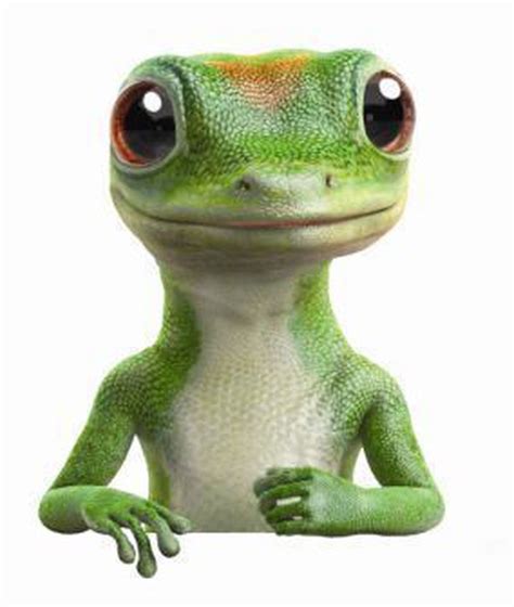 GEICO Insurance Lizard 的图像结果