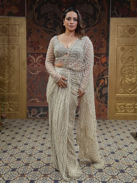 Stunning Sage Green Pre Drape Embroidered Saree – Tirumala Designers