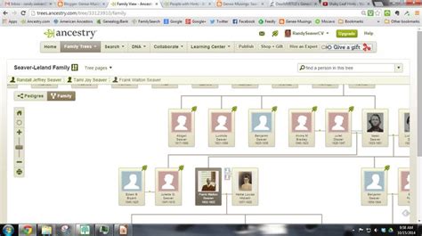 Image result for How to Create Ancestry Database