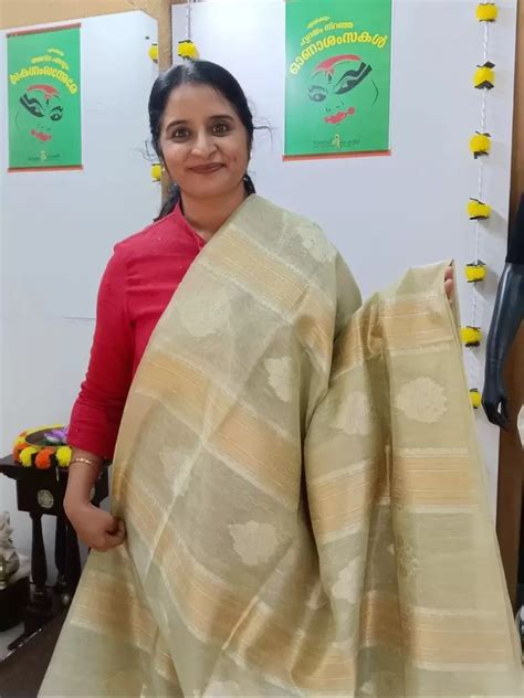 Tissue Organza saree