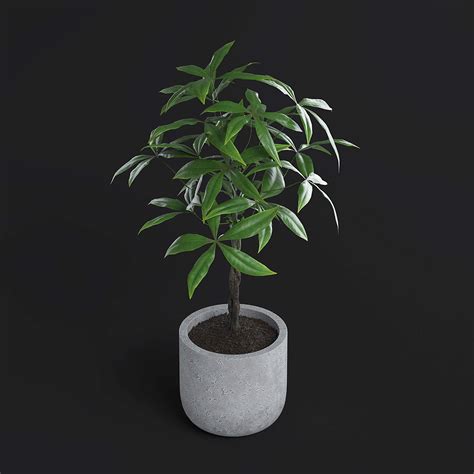 Image result for Money Tree Machine