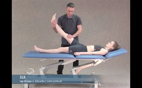 SLR Testing 的图像结果