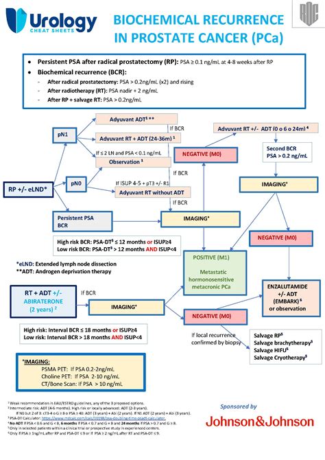 Prostate Cancer Recurrence 的图像结果