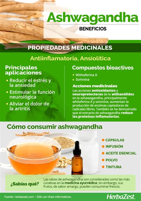 Ashwagandha | HerbaZest