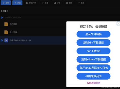 使用IDM下载磁力链或迅雷文件_idm ed2k-CSDN博客