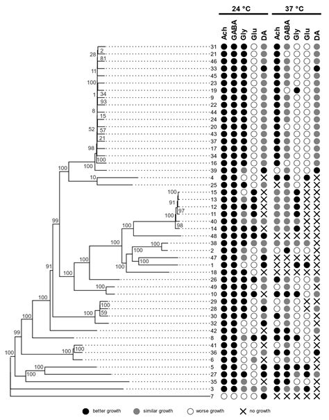 Virulence Traits and Population Genomics of the Black Yeast ...