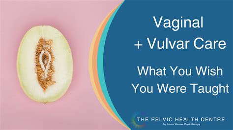 Vaginal and Vulvar Care: What you wish you would have been taught ...