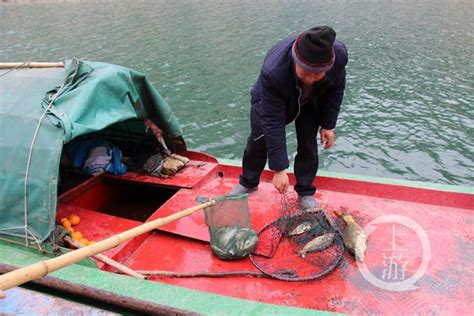 禁渔期长江鱼价格上涨 五人非法捕鱼被抓现行|长江|禁渔期|非法捕捞_新浪新闻