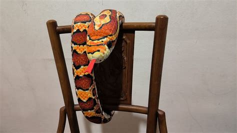 Image result for Automate Clicks Windows Using Python