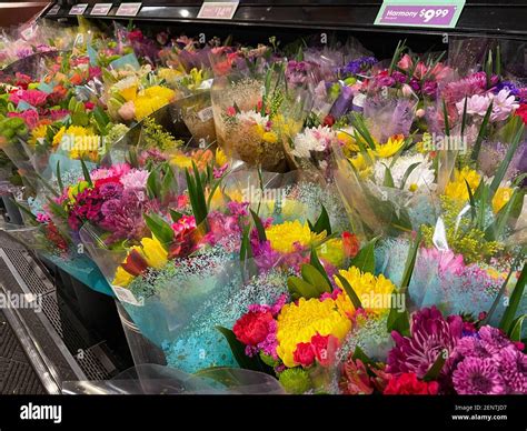 Pico robertson hi-res stock photography and images - Alamy