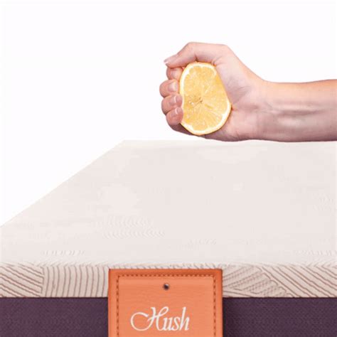 Buy Hush Mattresses Online in India