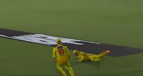 [Watch] Faf du Plessis pulls off a spectacular catch to dismiss Tim ...
