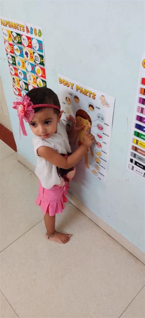 Vantagekart Alphabets, Numbers, Weekdays, Colours, Months, Body Parts ...