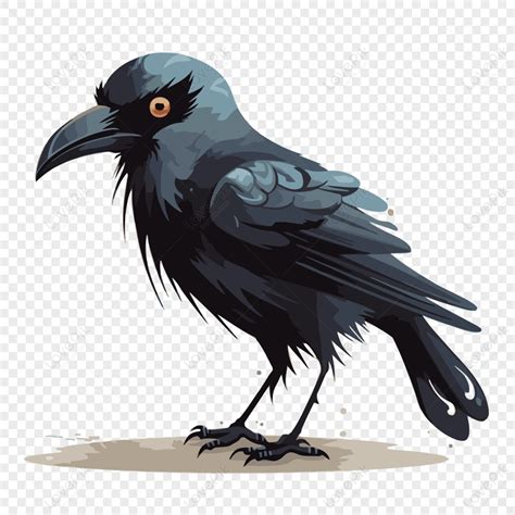 Crow Clipart Crow Character Black Bird Isolated Vector Design V3 ...
