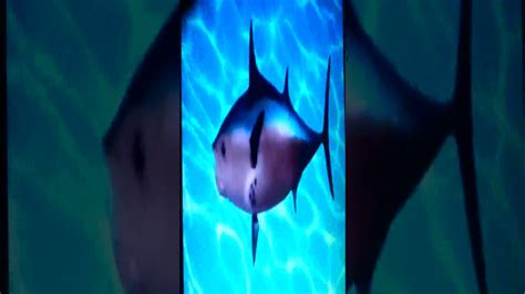 Image result for Spongebob Intro Multilanguage