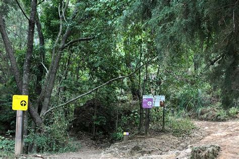 Actividades y Tours Valle de Bravo - Cuadrilla de Dolores | Tripadvisor