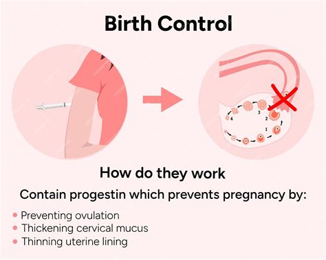 Image result for How Birth Control Works