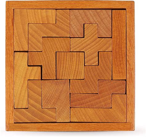 Amazon.com: Wooden Brain Teaser Puzzles for Kids Children & Adults. New ...