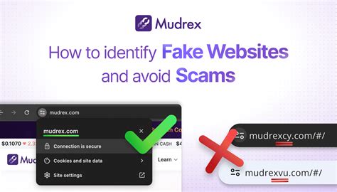 Image result for Fake Scam Website