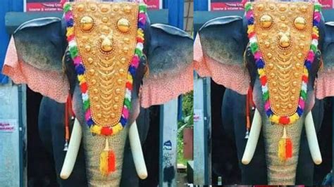 Ten feet tall and 800 kg weight and never violent; robotic elephant ...