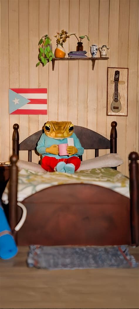 22 ideas de Sapo Concho Bud Bunny en 2025 | fotos de bad bunny, portadas de discos de fotos ...