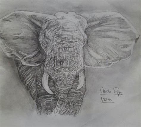 Realistic Elephant Drawing at PaintingValley.com | Explore collection ...
