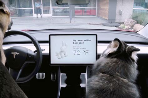 Tesla owner finds potentially serious issue with Dog Mode, fix already deployed - CNET