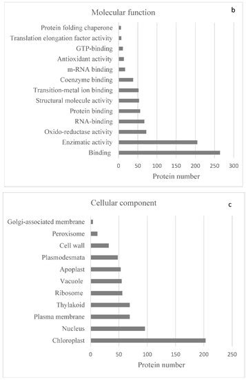 The Shared Proteome of the Apomictic Fern Dryopteris affinis ssp ...
