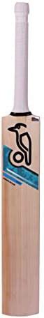 KOOKABURRA Willow Wood Adult Cricket Bat Kb Surge 400 : Amazon.in ...