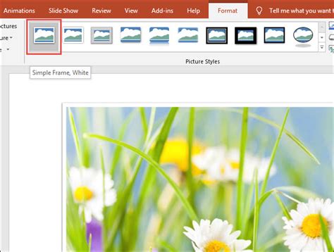 Image result for PowerPoint Pop-up Tutorial