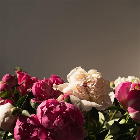 Minimalistic Background 的图像结果