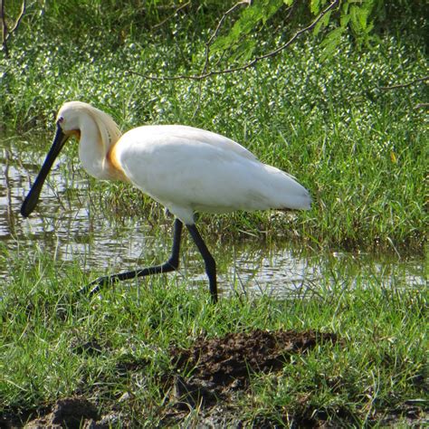 THE YALA ADVENTURE (Uddhakandara) - Specialty Hotel Reviews & Photos ...