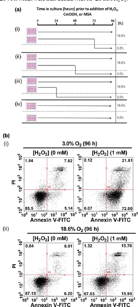 Image result for AO2 O2 Cell Uses