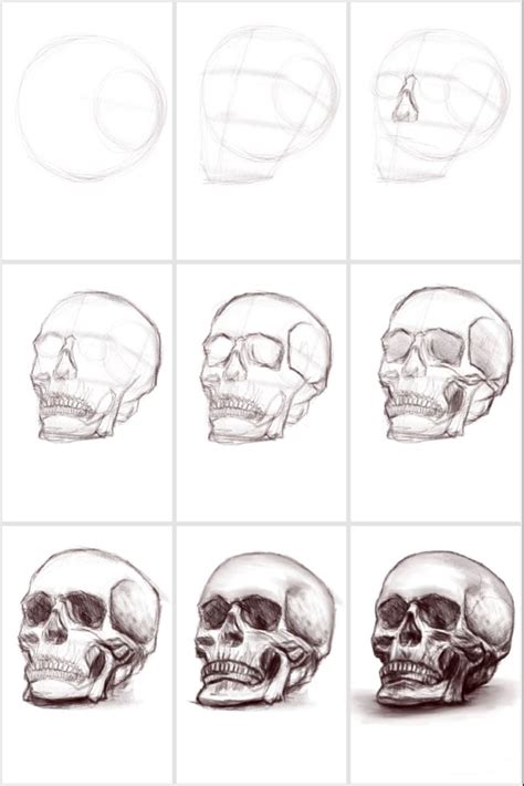 Image result for Skull Drawing Tutorial