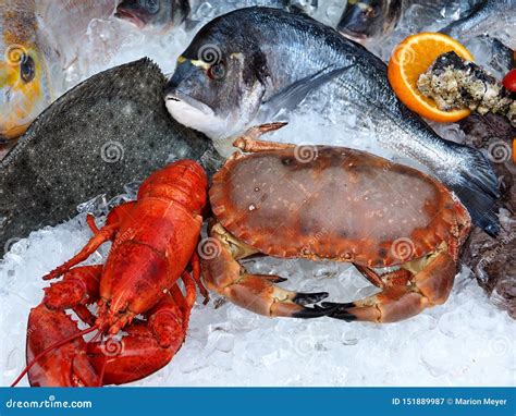 Fresh Gourmet Seafood with Lobsters, Crabs and Fish Stock Image - Image ...