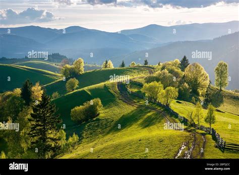 Path through Field 的图像结果