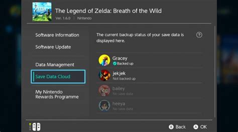 Image result for How Get Save Data Nintendo