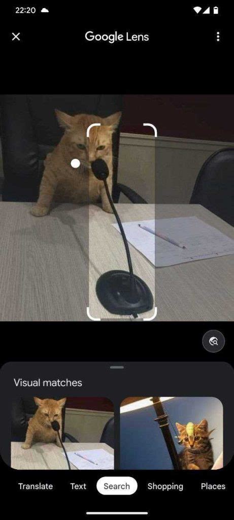 Google Visual Search 的图像结果