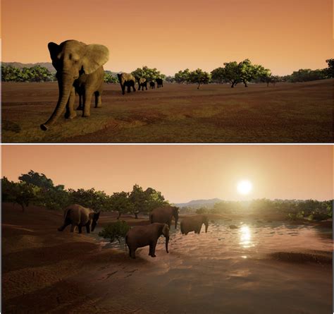 Image result for Computer Vision Wildlife