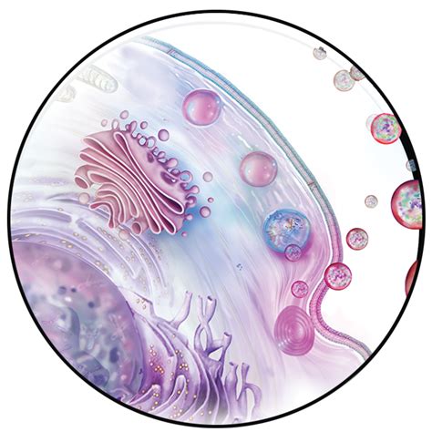 Product Cells | Life Technologies (India) Pvt. Ltd.
