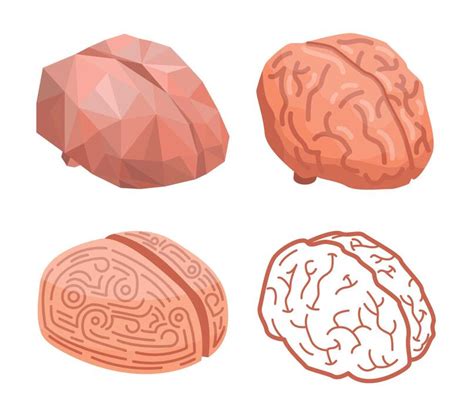 Brain Vector 的图像结果