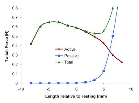 Image result for Muscle Tension Duration Graph