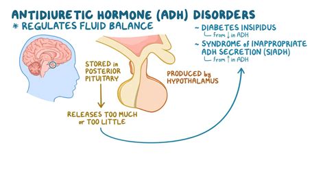 Antidiuretic Hormone