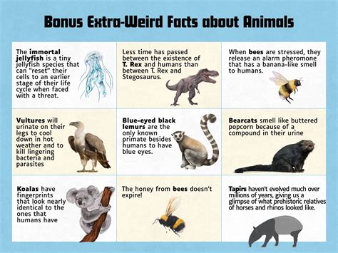 105 Weird Animal Facts You’ve Probably Never Heard Before