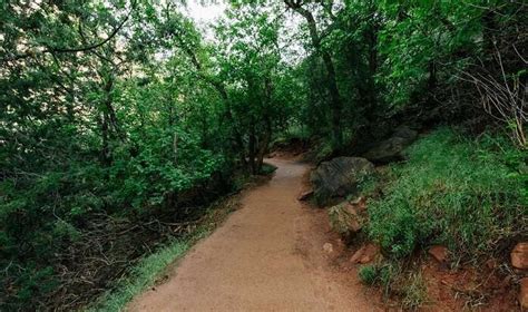 Trekking In Singapore: 7 Best Trails To Taste The Adventure