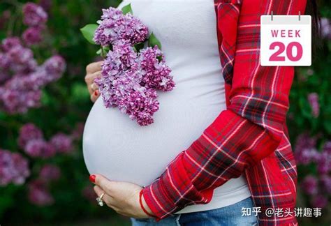 3个月孕妇肚子有多大？看看子宫大小和胎儿发育，孕妇心中有数了 - 每日头条