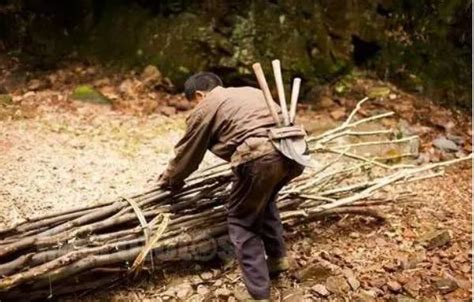 过去农村人到了冬天农闲季节都要上山砍柴，砍柴也是一门技术活！__凤凰网